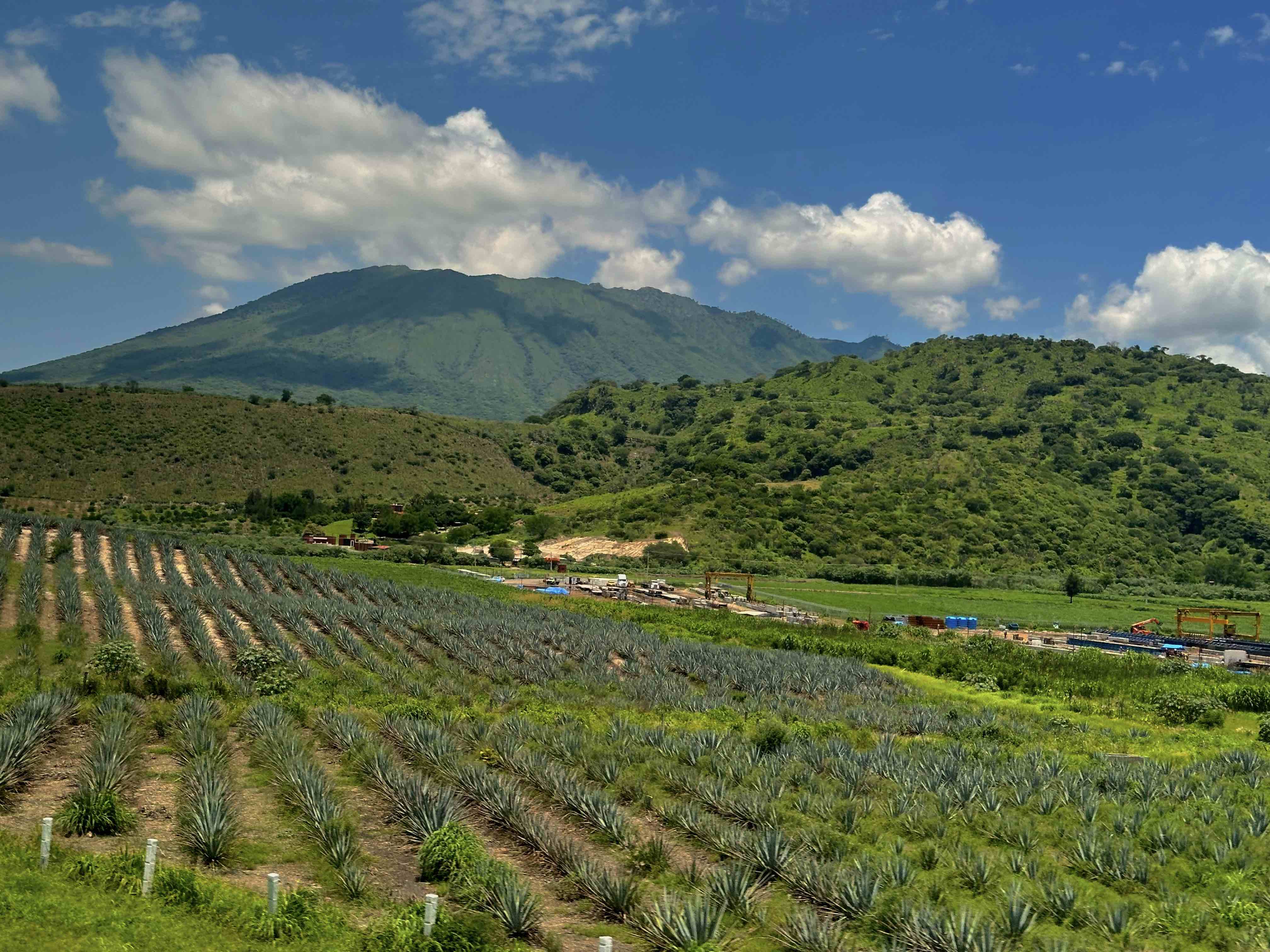 green landscape