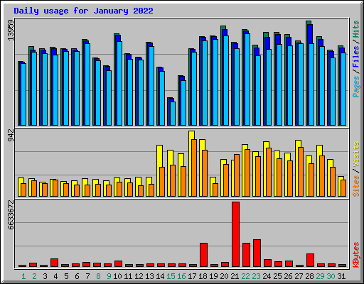 Daily usage for January 2022