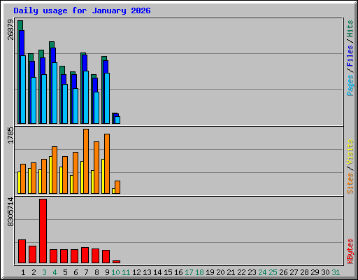 Daily usage for January 2026