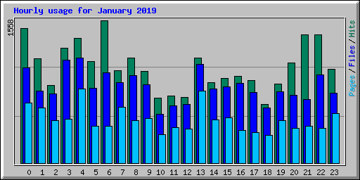 Hourly usage for January 2019