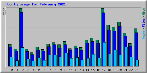 Hourly usage for February 2021