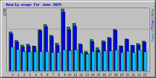 Hourly usage for June 2025