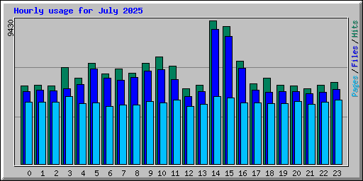 Hourly usage for July 2025