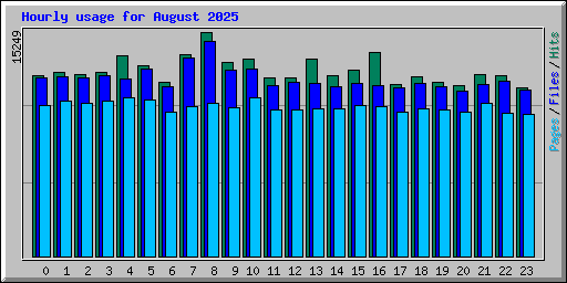 Hourly usage for August 2025
