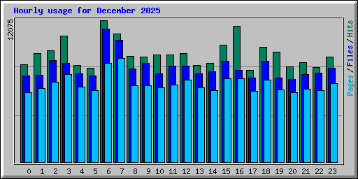 Hourly usage for December 2025