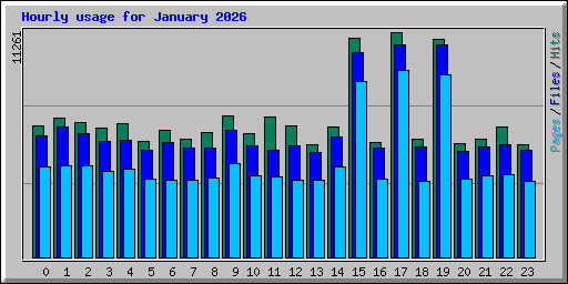 Hourly usage for January 2026