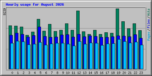 Hourly usage for August 2026